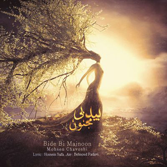 آهنگ جدید محسن چاوشی به نام بید بی مجنون